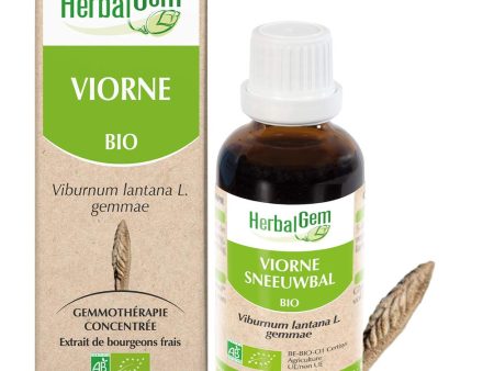 Pranarôm HERBALGEM - Macerado Madre de Viorne Bio - Complemento Alimenticio de Gemoterapia Concentrada - Extracto de Brote Fresco - Para Vías Respiratorias - Vegano - 30 ml Embalaje Deteriorado Sale